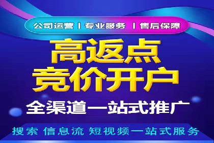 百度推广公司案例研究：揭秘电商行业爆款打造秘诀